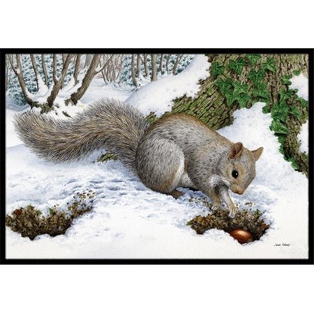 JENSENDISTRIBUTIONSERVICES Grey Squirrel Indoor or Outdoor Mat; 24 x 36 MI252862